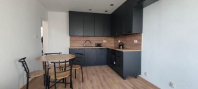 Rzeszów, Spiechowicza, 3-pokojowy apartament na wyłączność